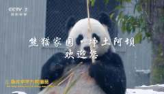 熊猫家园·净土阿坝”亮相央视，邀您共赴冰雪盛宴